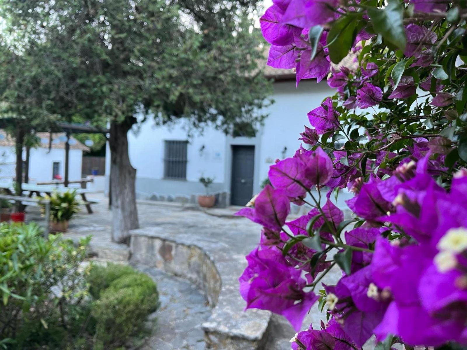 منزل الضيف الجيسايرس  في Complejo Rural Huerta Grande المظهر الخارجي الصورة