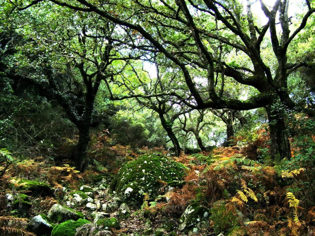 منزل الضيف الجيسايرس  في Complejo Rural Huerta Grande المظهر الخارجي الصورة